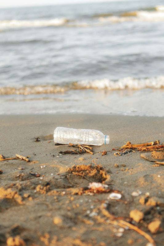 Volunteers cleaning up plastic waste from a beautiful beach, representing the global effort to save our oceans.