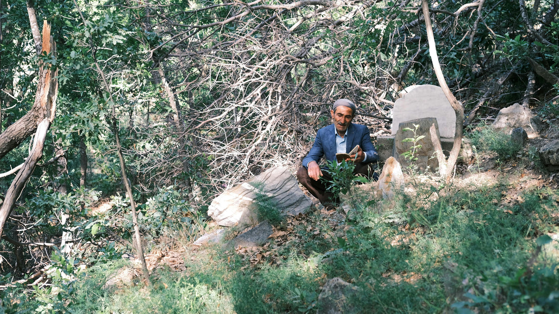 A person relaxing in a green forest, illustrating the health benefits of spending time in nature.