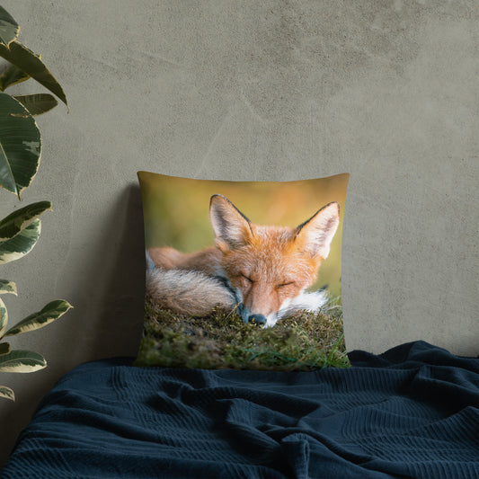 A stylish premium throw pillow featuring an original photograph of a resting red fox by Mikko Monto, placed in a cozy home setting