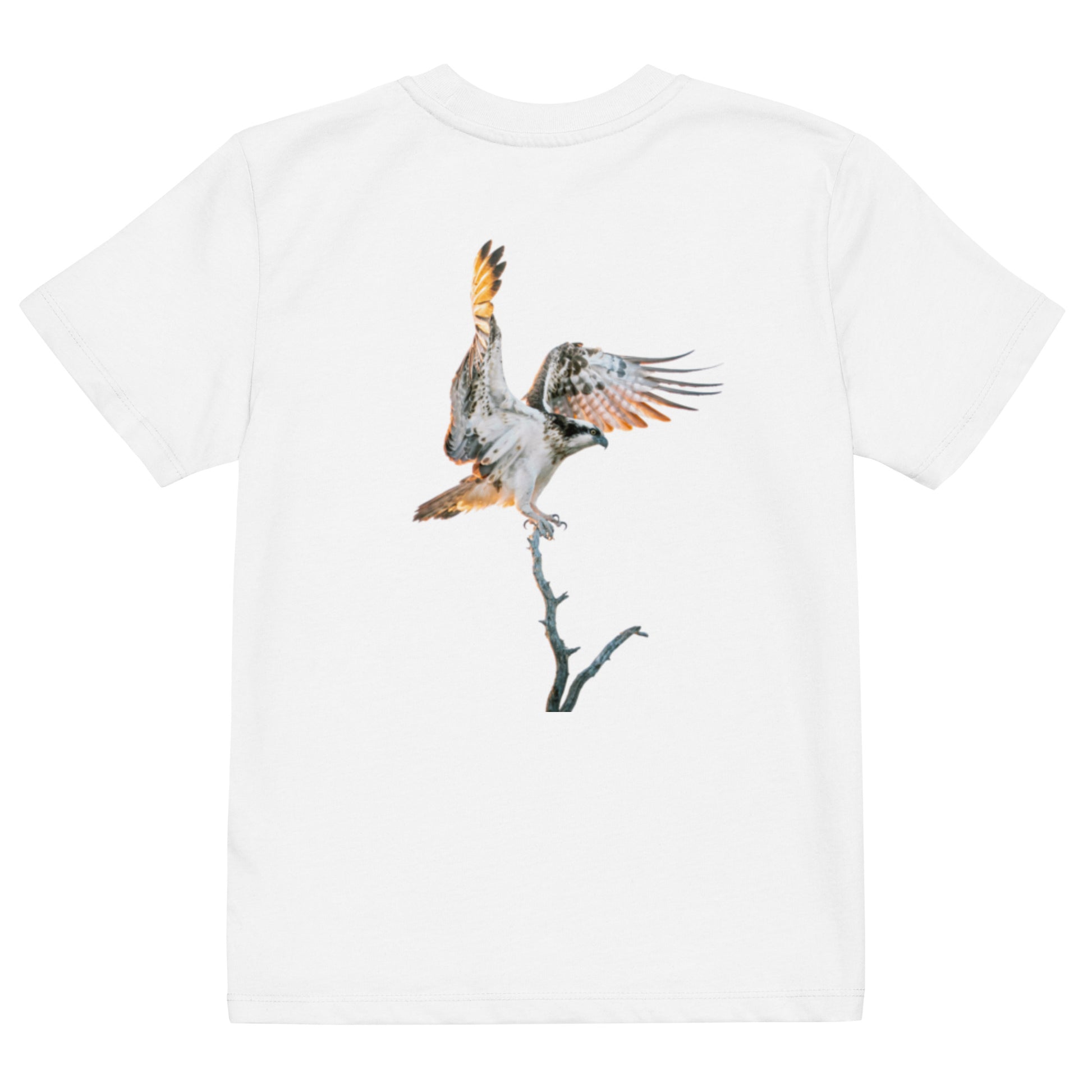 Back view of a kid wearing a white Novapuro organic cotton t-shirt featuring a majestic osprey wildlife photograph by Mikko Monto.