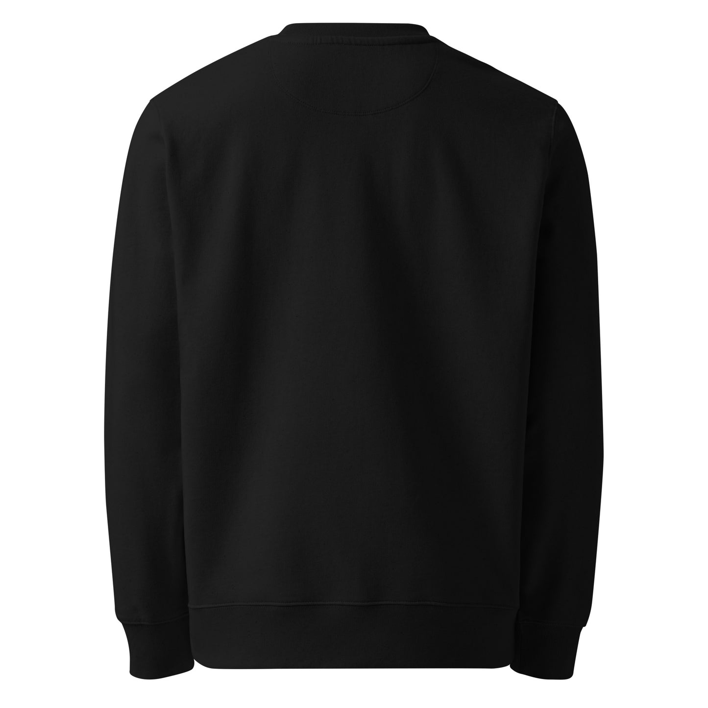 Back view of a blank black heavyweight eco-friendly organic cotton sweatshirt, representing modern Nordic fashion.