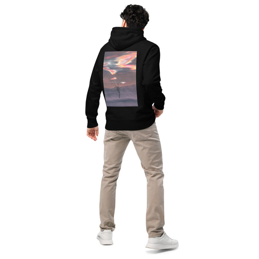 A male model wearing a black sustainable organic cotton hoodie featuring a Jetro Luhtaa nacreous clouds graphic print, offering premium eco-friendly winter clothing for urban exploration.