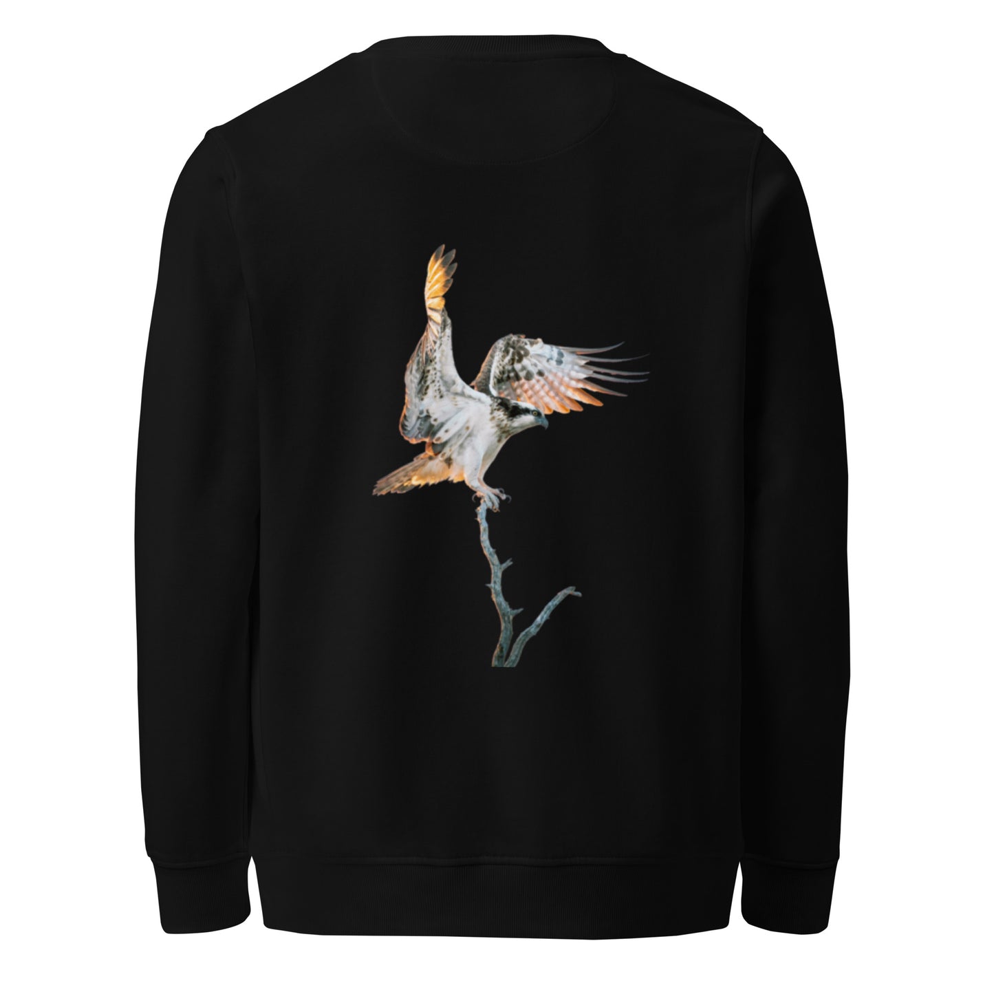 Back view of a black unisex organic sweatshirt by Novapuro featuring a majestic flying osprey wildlife photograph by Mikko Monto.